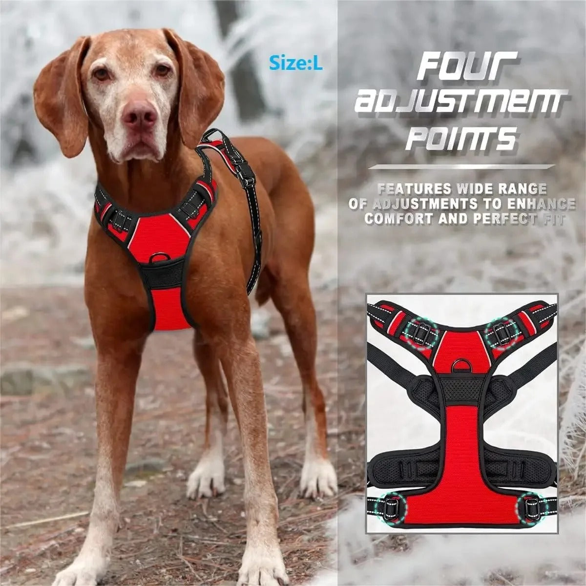 PawsyMeowy™ Premium Leather Dog Harness Set
