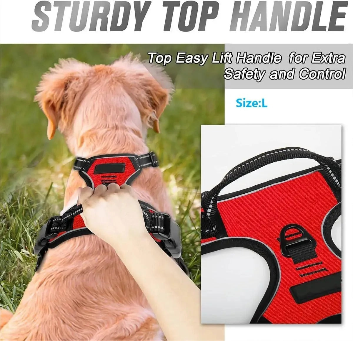 PawsyMeowy™ Premium Leather Dog Harness Set