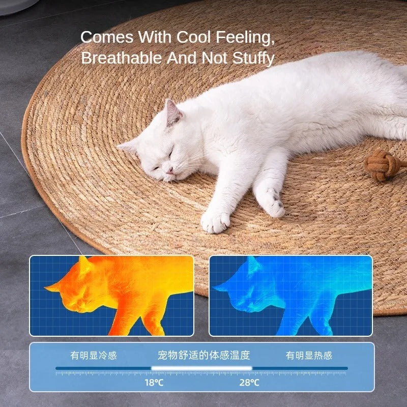 PawsyMeowy™ Rattan Cat Scratcher Mat