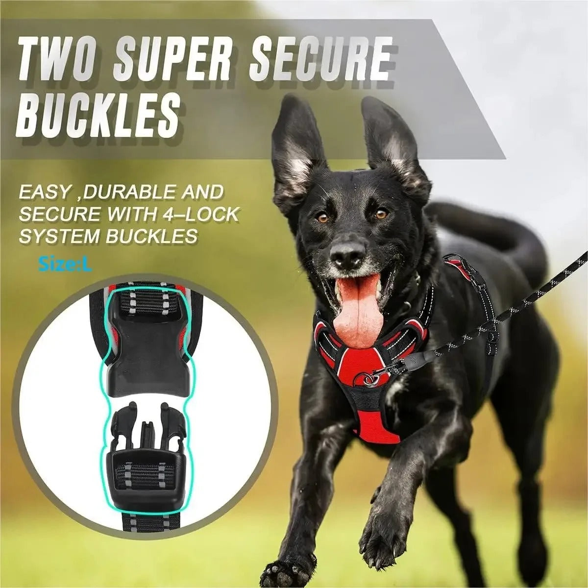 PawsyMeowy™ Premium Leather Dog Harness Set