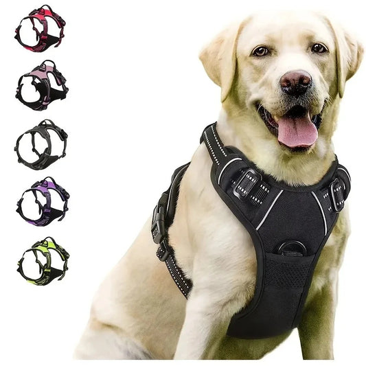 PawsyMeowy™ Premium Leather Dog Harness Set