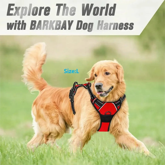 PawsyMeowy™ Premium Leather Dog Harness Set